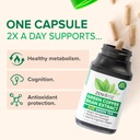 zenwise-health-egcg-green-tea-extract-ca-3.jpg