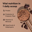 bodi-shakeology-0g-added-sugar-plant-bas-4.jpg