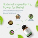 foundation-formula-tick-immune-support-s-4.jpg