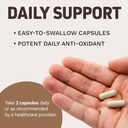 korean-red-panax-ginseng-1500mg---high-p-5.jpg