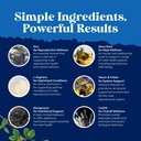 pre-conceive-male-reproductive-supplemen-6.jpg