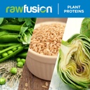 rawfusion-vegan-protein-powder-vanilla-b-6.jpg