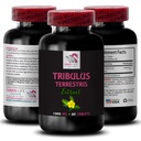 pure-strength-formula-tribulus-terrestri-2.jpg