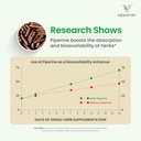 shallaki-boswellia-serrata-extract-suppl-6.jpg