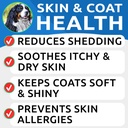 bark-spark-allergy-relief-omega-3-bundle-6.jpg