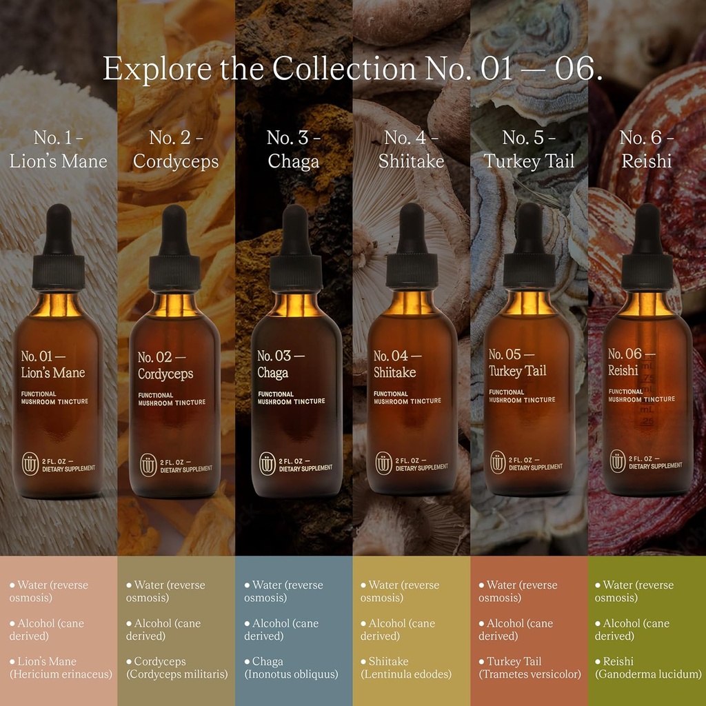 cordyceps-mushroom-extract---double-extr-4.jpg