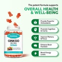 ginkgo-biloba-gummies-for-women-and-men--3.jpg