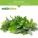 naturalma-great-mullein-or-common-mullei-4.jpg