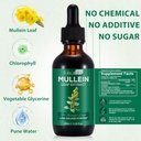 mullein-drops-for-lungs-mullein-leaf-ext-2.jpg