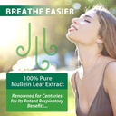 mullein-drops-for-lungs-mullein-leaf-ext-6.jpg