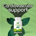 pure-coq10-energy-support-high-absorptio-5.jpg