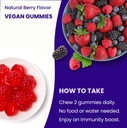 nutrachamps-vitamin-b12-gummies-and-elde-5.jpg