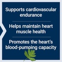 life-extension-cardio-peak-cardiovascula-4.jpg