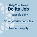 life-extension-cardio-peak-cardiovascula-5.jpg