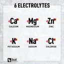 zeal-naturals-electrolyte-powder-recover-4.jpg