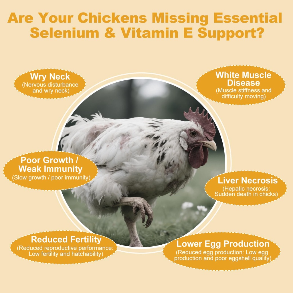 selenium-and-vitamin-e-powder-for-chicke-3.jpg