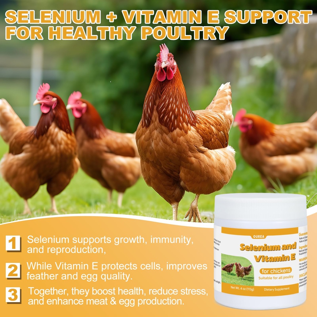 selenium-and-vitamin-e-powder-for-chicke-4.jpg