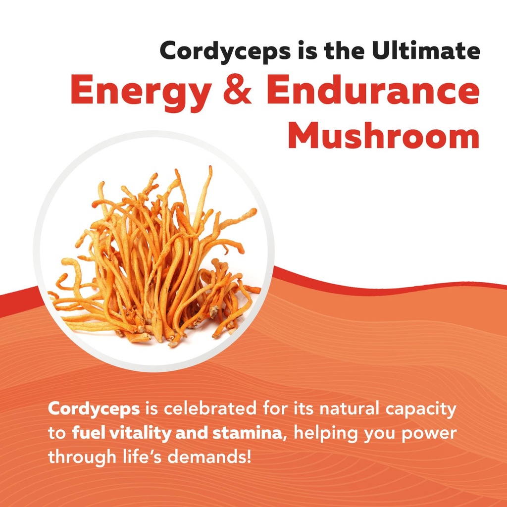 organic-cordyceps-mushroom-extract-70-be-6.jpg
