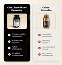 better-alt-lions-mane-mushroom-capsules--4.jpg