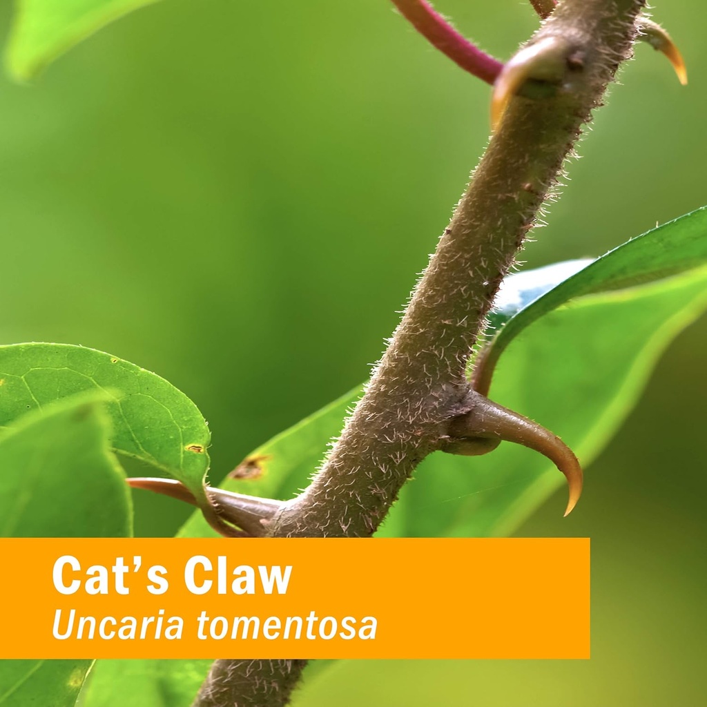 herb-pharm-cats-claw-una-de-gato-extract-3.jpg