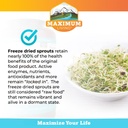 vita-sprout-whole-food-multivitamin-phyt-5.jpg