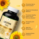 julydeer-2-bottles-sunflower-lecithin-24-4.jpg