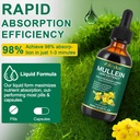 mullein-drops-for-lungsmullein-leaf-extr-4.jpg