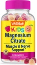 wellyeah-biotin-kids-magnesium-citrate-k-3.jpg