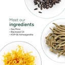 root-labs-10-in-1-alpha-sea-moss-gummies-3.jpg