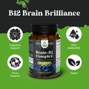 bundle-of-nootropic-memory-supplement-an-4.jpg