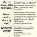 speedyvite-organic-colon-cleaner-full-st-4.jpg