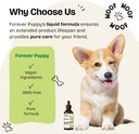 dandelion-root-drops-for-dogs---liquid-l-6.jpg
