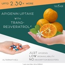 teaveli-citicoline-with-apigenin-bundle-6.jpg