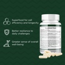 fisetin-senolytic-supplement-100mg-high--4.jpg