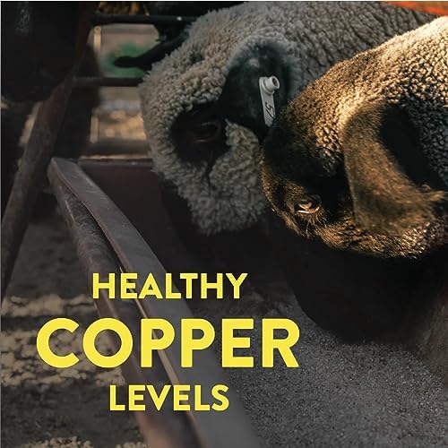 redmond-all-natural-sheep-mineral-supple-4.jpg