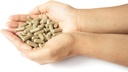 parasym---aids-metabolic-activity-assist-5.jpg