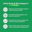nopal-cactus-extract-for-antioxidant-ski-3.jpg