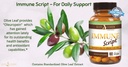 immune-script-with-epicor-indian-echinac-5.jpg
