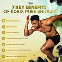 kobix-pure-himalayan-shilajit-resin-high-2.jpg
