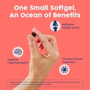 nativepath-wild-caught-antarctic-krill-o-4.jpg