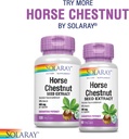 solaray-circulegs-with-horse-chestnut-ex-6.jpg
