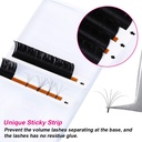 fadlash-eyelash-extensions-c-d-curl-lash-4.jpg