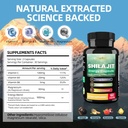 shilajit-capsules60-capsules-shilajit-ex-3.jpg