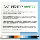 addy-energy---focus-energy-supplement----4.jpg