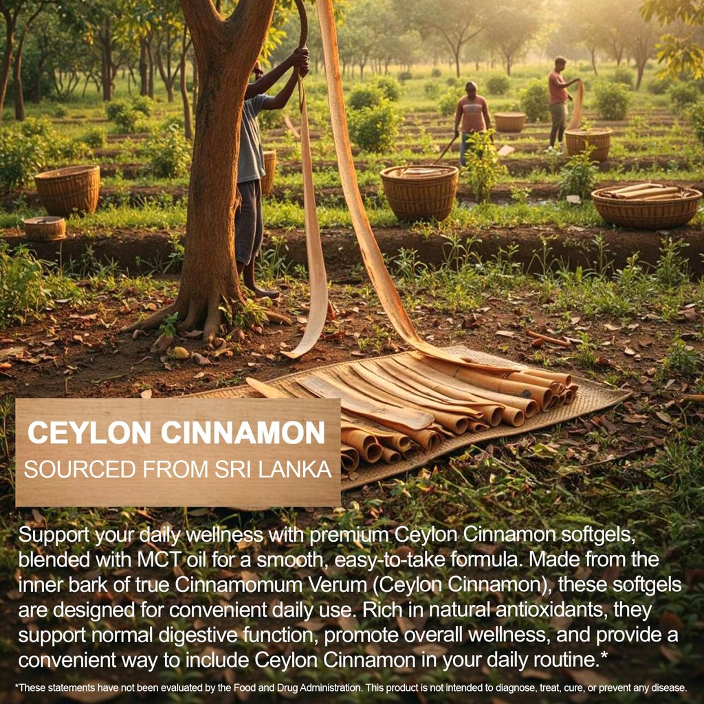 ceylon-cinnamon-capsules-with-mct-oil-60-5.jpg