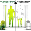 total-immune-hormonal-antioxidant-suppor-5.jpg