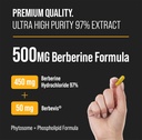 nutrachamps-energy-metabolic-support-gin-3.jpg
