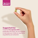 andrew-lessman-immune-factors-60-capsule-6.jpg