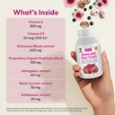 andrew-lessman-immune-factors-60-capsule-3.jpg