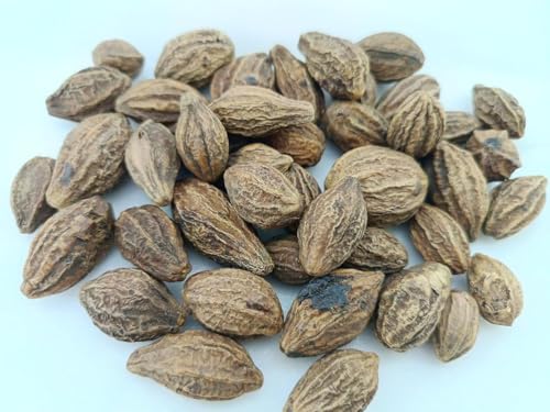 rj-badi-harad-whole-aralu-inknut-haritak-4.jpg